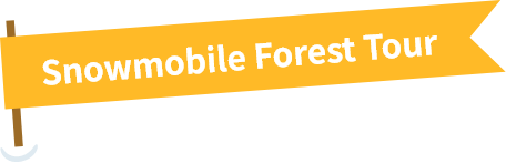 Snowmobile Forest Tour